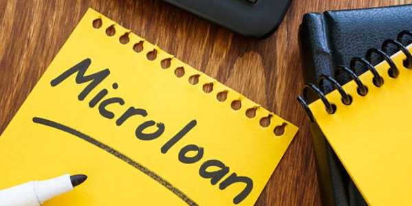 Microloans: What They Are And How To Get One